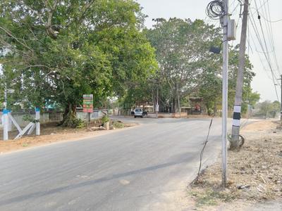 Othakalmandapam Plot View 3