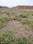 Shivala Par Main Image 1