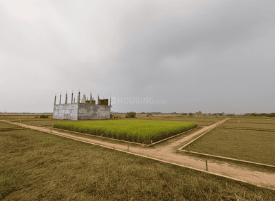 Lucknow Airpot Plot View 1