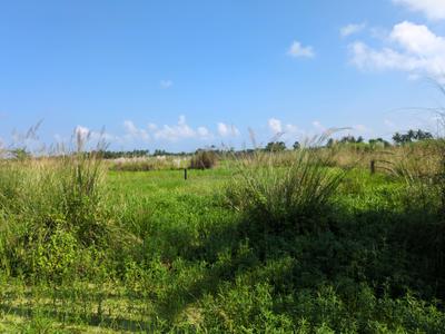 Image of 720 Sq.ft Residential Plot / Land for sale in Wander Valley, Joka, Kolkata for Rs. 250505