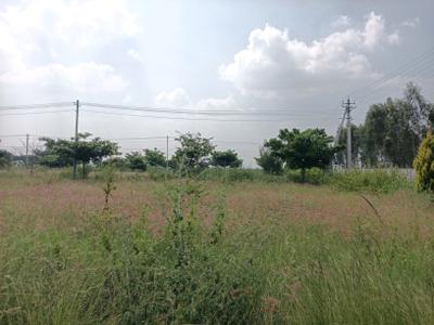 Image of 1200 Sq.ft Residential Plot / Land for sale in Sheikhmanpura, Kolar for Rs. 2999999