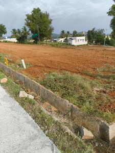 Residential Plot