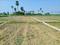 Bihta Plot View 2