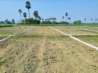 Bihta Plot View 2