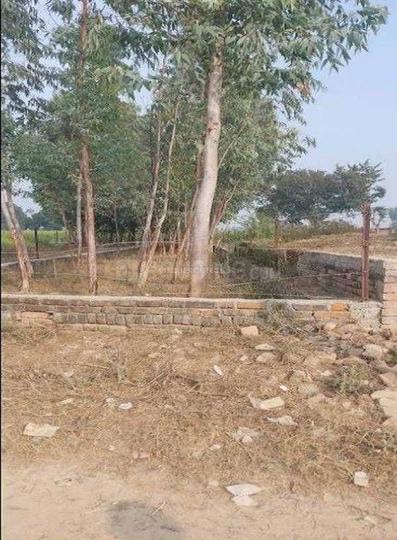 Dibiyapur Main Image 1