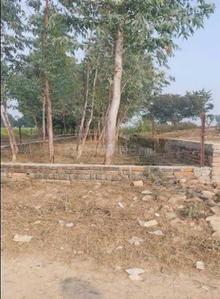 Residential Plot