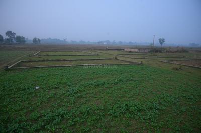 Socity plot Plot View 2