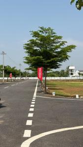 Image of 1453 Sq.ft Residential Plot / Land for sale in Ganeshapuram, Coimbatore for Rs. 2183859