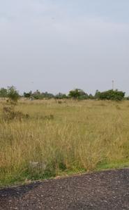 Thiruporur Plot View 1