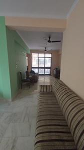 Hall Image of 1450 Sq.ft 3 BHK Apartment / Flat for rent in Salora Vihar, Sector 62 Noida for Rs. 41000