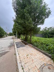Image of 2800 Sq.ft Residential Plot / Land for sale in Apollo Golf Links Sector C Extension And E Extension, Kanadiya, Indore for Rs. 19040000
