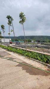 Image of 1800 Sq.ft Residential Plot / Land for sale in Pristine City, Bakori, Pune for Rs. 6120000