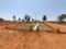 Devanahalli Main Image 1