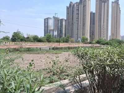 Sector 151 Plot View 1
