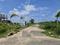 Vikaa Aranya Garden Internal Roads 1