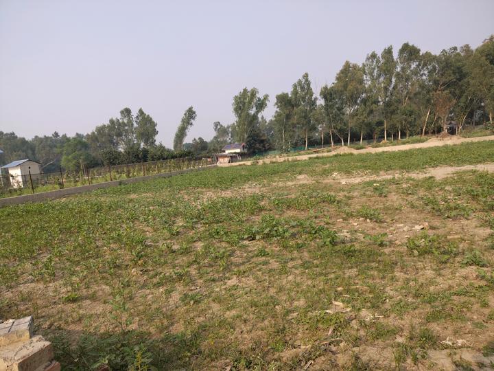 Vats Green Beauty Farm House Main Image 1