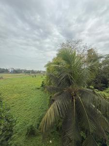 Image of 753 Sq.ft 1 BHK Apartment / Flat for sale in Mapusa, Goa for Rs. 7100000