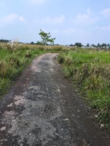 Wander Valley Internal Roads 1
