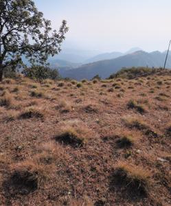 Image of 900 Sq.ft Residential Plot / Land for sale in Sunhil Rishigram, Lansdowne, Pauri Garhwal for Rs. 2000000