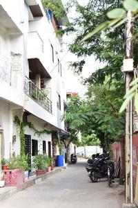 Image of HelloWorld Finch in Vijay Nagar, Indore