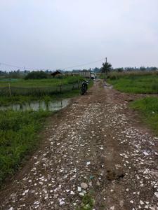 Wander Valley Internal Roads 2