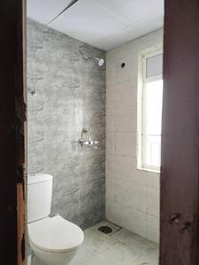 Image of 805 Sq.ft 2 BHK Apartment / Flat for sale in Amrapali Dream Valley 2, Noida Extension, Greater Noida for Rs. 5700000