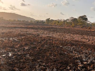 Sarde Plot View 3