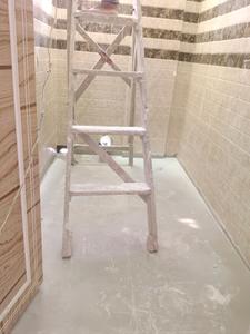 Common Bathroom Image of 760 Sq.ft 2 BHK Apartment / Flat for sale in Baghajatin Kolkata for Rs. 3800000