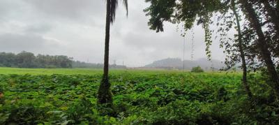 Image of 3550 Sq.ft Residential Plot / Land for sale in Assonora, Goa for Rs. 71000000