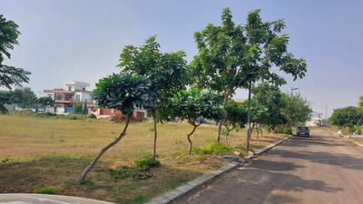 Image of 3150 Sq.ft Residential Plot / Land for sale in DLF Hyde Park Plot, New Chandigarh, Chandigarh for Rs. 56300001