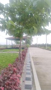 Image of 1451 Sq.ft 3 BHK Independent House for sale in Bhilai Marshalling Yard, Charoda for Rs. 3951000