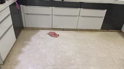 Kitchen Image of 2670 Sq.ft 3 BHK Apartment / Flat for rent in Deep Indraprasth 8 Frangipani, Thaltej Ahmedabad for Rs. 85000