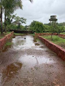 Image of 24976 Sq.ft Residential Plot / Land for sale in Niwali, Ratnagiri for Rs. 9000000