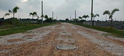 Nigoha Plot View 2
