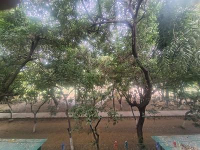 Image of 1820 Sq.ft 3 BHK Builder Floor for rent in Big Block Builder Floor, Sector 46, Gurgaon for Rs. 50000