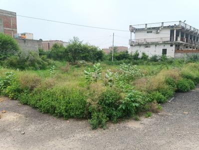 Image of 900 Sq.ft Residential Plot / Land for sale in Jait, Vrindavan for Rs. 1600000