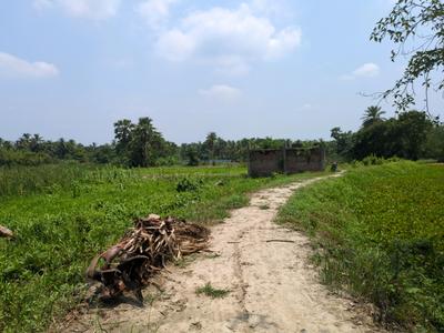 Residential Plot