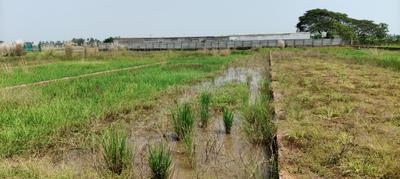 Image of 1620 Sq.ft Residential Plot / Land for sale in Siula, Bhubaneswar for Rs. 1680000