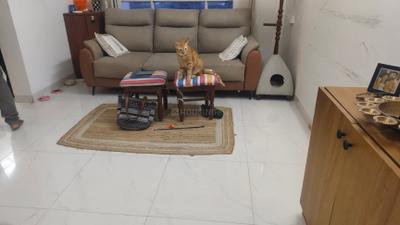 Living Room Image of 630 Sq.ft 1 BHK Apartment / Flat for sale in Aditya Shagun, Bavdhan Pune for Rs. 5700000