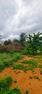 Image of 87120 Sq.ft Residential Plot / Land for sale in Maheshwaram, Hyderabad for Rs. 65000000