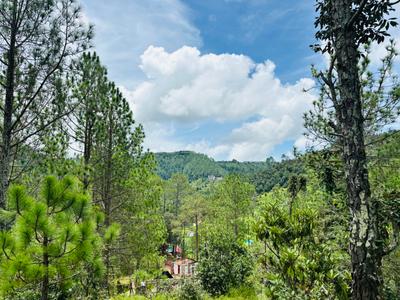 Image of 2700 Sq.ft Residential Plot / Land for sale in Mukteshwar, Nainital for Rs. 3750000