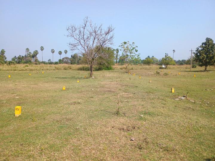 Poonjeri Main Image 1