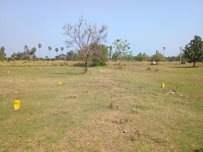 Poonjeri Main Image 1