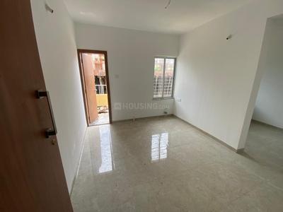 Hall Image of 550 Sq.ft 1 BHK Apartment / Flat for sale in D P K Birds County, Wakad Pune for Rs. 5800000