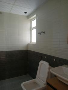 Common Bathroom Image of 750 Sq.ft 3 BHK Apartment / Flat for sale in ROF Aalayas by ROF Group, Sector 108 Gurgaon for Rs. 8500000