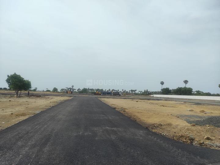 Nemelli Main Image 1