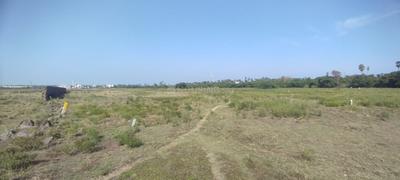 Image of 105000 Sq.ft Residential Plot / Land for sale in Krishnan Karanai, Chennai for Rs. 70000000