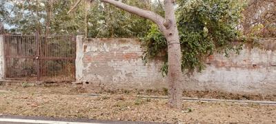 Image of 300 Sq.ft Residential Plot / Land for sale in Sector 99, Noida for Rs. 78000000