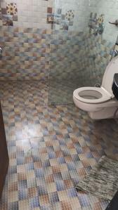Image of 3200 Sq.ft 5 BHK Apartment / Flat for sale in Paranjape Blue Ridge, Hinjawadi, Pune for Rs. 39000000