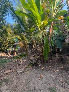 Image of 5618 Sq.ft Residential Plot / Land for sale in Eloor, Kochi for Rs. 6200000